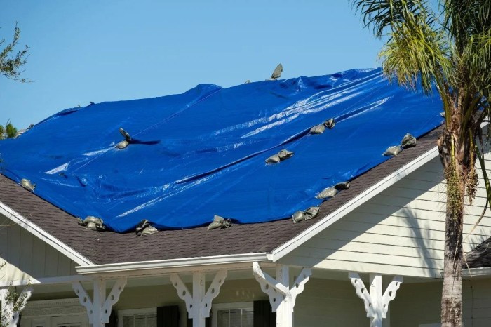 Emergency Roof — RoofPROFla