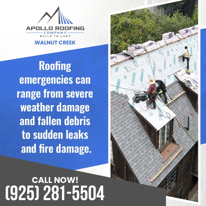 What To Do When You Need Emergency Roofing Services - Apollo Roofing ...