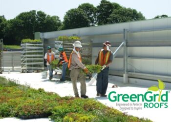 Comprehensive Guide to Green Roof Installation: Essential Steps and ...