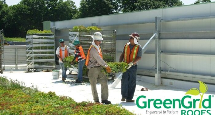 Comprehensive Guide to Green Roof Installation: Essential Steps and ...