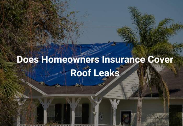 Does Homeowner's Insurance Cover Roof Leaks?