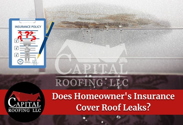 Dealing with a Roof Leak: Understanding Your Insurance Coverage
