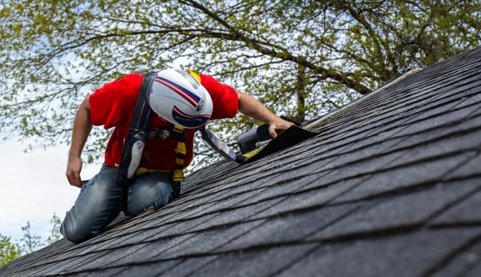 Roof Maintenance Services in Chicago, IL | Guaranteed Gutters