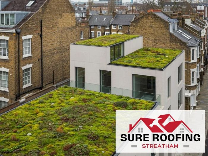 Green Roof Installers London | Sure Roofing Streatham