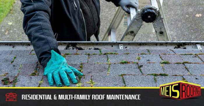 Residential Roof Repair and Maintenance